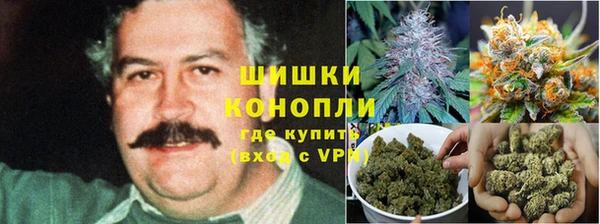 спайс Беломорск