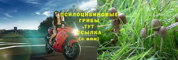 соль ск Богданович