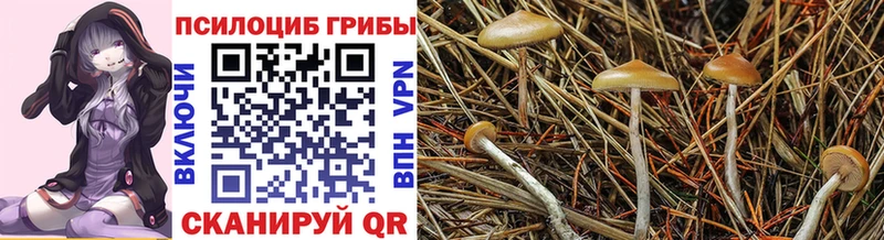 Галлюциногенные грибы ЛСД  Боготол 